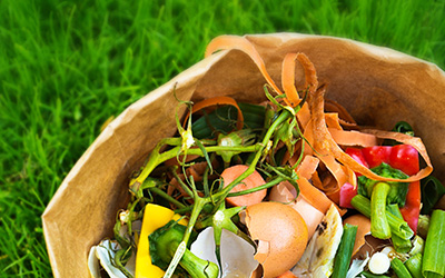 déchets alimentaires